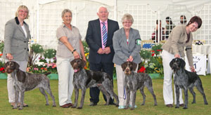 Gundog breeder group winner