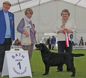 Miss A Taylor Ch Fabracken Trust In Me with group judge Mrs V Foss