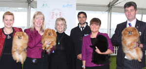 Cawthera-Purdy Pomeranian with group judge Mrs D A Horan