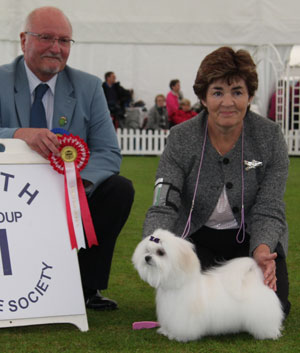 Mrs A Yorath Alverez Truly Gold with puppy group judge Mr G C Duffield