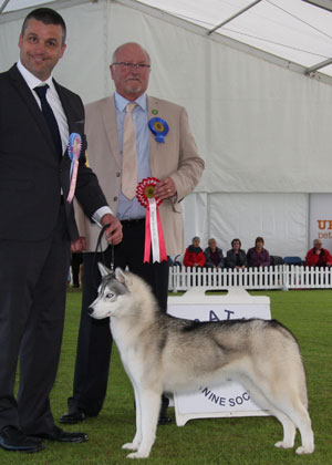 Mrs E & Mr K Whitehead Jacalous Simply Magic with puppy group judge Mr G C Duffield