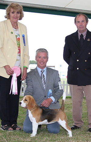 Messrs T & S Jones & Jepson Eardley Merry Berry with puppy group judge Mrs V Phillips & Mr L Hunt (Committee) 