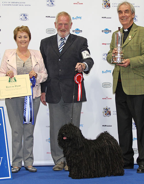 Mr J & Mrs M WhittonCh Zaydah You Win Again For Vaucluse with BIS judge Mrs J Peak & Mr W H King (Chairman)
