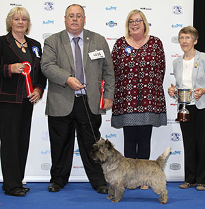 Mr G Thomas Ch Tycadno I Spy with group judge Mrs Z Thorn-Andrews & Miss B Shannon (Cairn Terrier judge)