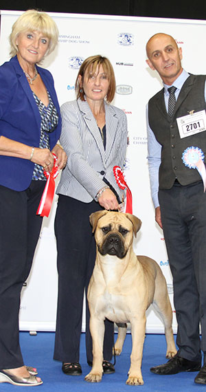 Mr P J Myers & Miss D Morgan Optimus Seven with puppy group judge Mrs P Hollings