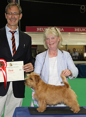Miss D Jenkins Kinsridge Witty Banter with puppy group judge Mr M Gadsby