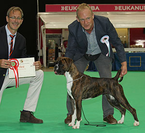 Mr M Griffiths Lanfrese Limelight with puppy group judge Mr M Gadsby