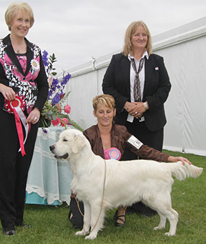 Mrs C E Hughes Landking Play With Me (Imp Prt) with puppy group judge Mrs A E Macdonald & A Morton (Royal Canin)