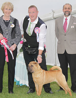 Mr A D & Mrs H K Morris Ashowai Taste Of Diamonds with puppy group judge Mrs A E Macdonald & Mr A Bongiovanni (Royal Canin) 
