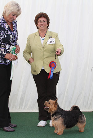 Mrs L A Crawley Ragus Hand In Glove with group judge Mrs E P Hollings