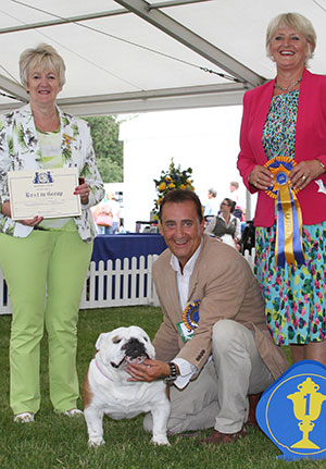 Mr & Mrs P & H Seal Ch Sealaville He's Tyler with group judge Mrs P Hollings & Miss A Summers (Vice Chairman)