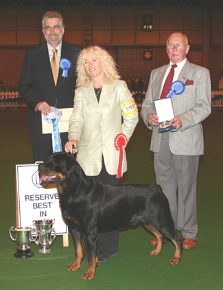 Reserve Best in Show