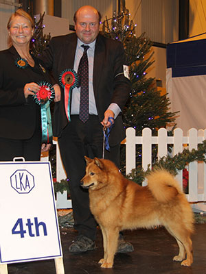 Mr R I Greaves Ch & Ir Ch Kunniakas Look No Further For Whittimer with group judge Miss J Dove