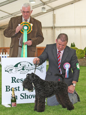 Reserve Best Puppy in Show