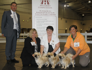 Quest - Tibetan Spaniel with judge Mr J Horsewell