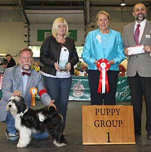 Mr G Davies Waterley Foreign Affair with puppy group judge Mrs M Purnell-Carpenter, Mrs S St. Maur Thorp (Assistant Secretary) & Mr A Bongiovanni 