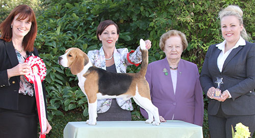 Miss M Spavin Dialynne Peter Piper with BPIS judge Mrs D Stewart-Ritchie, Mrs A Hodsoll (Secretary) & L Carter (Royal Canin)