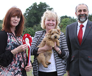 Miss D Jenkins Kinsridge Hey Ho with puppy group judge Mrs D Stewart-Ritchie & Mr A Bongiovanni (Royal Canin) 