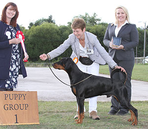 Ms T Reid Korifey Brave (ai) with puppy group judge Mrs D Stewart-Ritchie & L Carter (Royal Canin) 