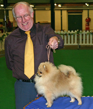 4th Puppy in Show