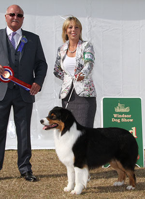 Miss M Spavin Ch & Croat Jun Ch Hearthside Man Of Mystery At Dia with group judge Mr G C Duffield