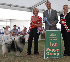 Mrs J Sharp-Bale Samkees With Love To Neradmik with puppy group judge Mr P R Eardley & L Carter (Royal Canin)