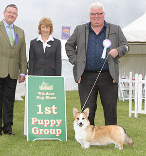 Mr B J & Mrs S Coulson Woodhenge Star Xtravaganza with puppy group judge Mr T Mather & B Banyard (Royal Canin) 