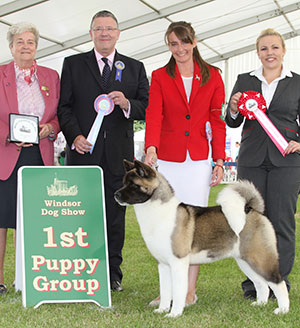 Mr N Fiddes & Ms F Bevis Stecals Grace Kelly with puppy group judge Mr T Mather, Mrs E Cartledge (Vice Chairman) & L Carter (Royal Canin) 