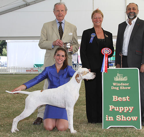 Mrs A & Miss A Siddle & Mr B Crocker Wilchrimane Frankel (ai) with BPIS judge Miss J Dove & Mr A Bongiovanni (Royal Canin)