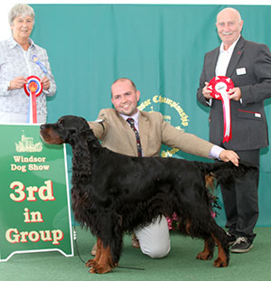 Mr D Alcorn, Mrs J Baddeley & Mr D Crowther Sh Ch Lourdace Fulcrum JW with group judge Miss A Ingram