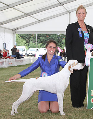 Mrs A & Miss A Siddle & Mr B Crocker Wilchrimane Frankel (ai) with puppy group judge Miss J Dove 