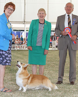 Mrs D King & Miss S Taylor Ch Oregonian Snow Tiger with group judge Mr R Newhouse