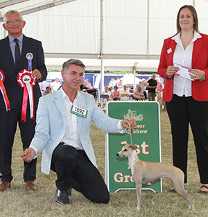 Mrs K Rutter & Mr R Wheeler Chrisford Golden Showers with group judge Mr B Rix & S Sage (Royal Canin) 