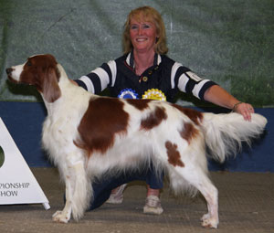 Mrs S Blackmore Sh Ch Courtdown Beautiful Dancer