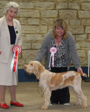 Miss F Sharp Afterglow Paws For Applause with group judge Mrs J Iles- Hibbert 