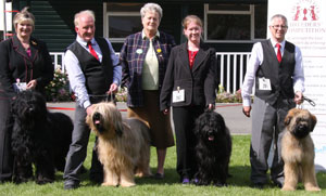 Foster - Briards with breeder group judge Mrs C E Cartledge