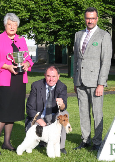 Mr V Malzoni Ch Travella Striking Steel Taf with BIS judge Mr M Cocozza & Dame J Trotter DBE