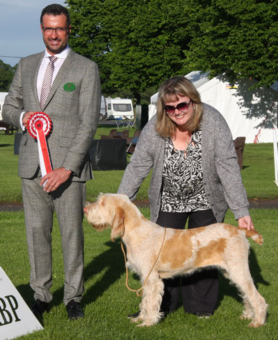 Miss F Sharp Afterglow Paws For Applause with BIS judge Mr M Cocozza 