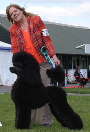 Ms C A Hutchins Parcheeni Pulled A Cracker