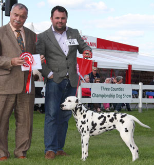 Ms C A & Mr S A Pearson Kelevra Classic Cliche with group judge Mr F Kane 