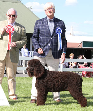Mr M L Ford Sh Ch Cuboglach Petite Wave with group judge Dr R W James
