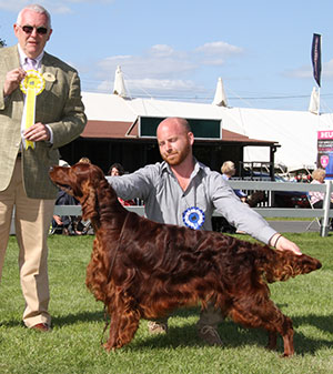 Mr B A Crocker & Miss A Siddle Copper's War Of Roses (Swed Imp) with group judge Dr R W James