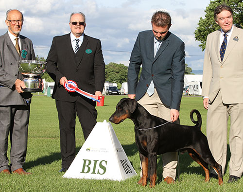 Mrs J A & Miss V L Ingram Ch & Ir Ch Jojavik Midnight Express JW Sh.CM with BIS judge Mr K Baldwin & Mr D Coode (Chairman)