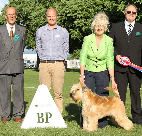 Mrs E Dunhill Mother's Finest Jon Snow At Fantasa NAF TAF (Imp) with BPIS judge Mr K Baldwin, Mr D Coode (Chairman) & Mr K Cadmore (Dorwest Herbs)