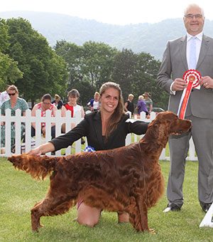 Mr B A Crocker & Miss A C Siddle Sh Ch Copper's War Of Roses with group judge Mr C Bexon