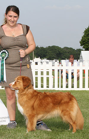 Mrs T Westwood & Miss S Westwood Sh Ch Eusanit Apple Of One's Eye JW