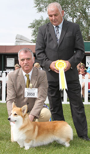 Mr K Dover & Mr L Saether Ch Pemcader Thunderball (Nbt) with group judge Mr R C Kinsey