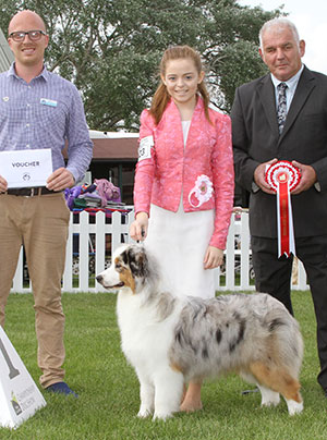 Mr N & Mrs A Allan & Mr R Harlow Allmark Vanity Fayre with puppy group judge Mr R C Kinsey & Mr K Cadmore (Dorwest Herbs)
