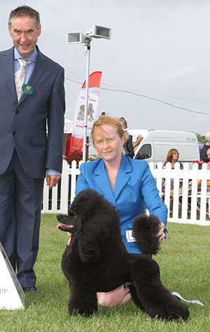 Miss M Harwood & Mrs L C Cunningham Minarets Just One Look From Shekaida with group judge Mr A Easdon