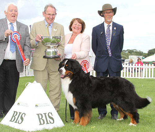 Mrs C Hartley-Mai & Mr G Dybdall Ch Meadowpark High Class with BIS judge Mr M Armstrong & Mr D Coode (Chairman) 